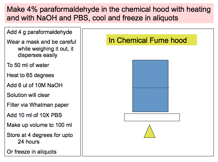 Paraformaldehyde